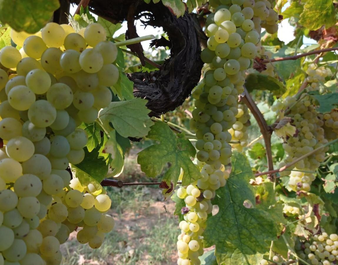 باني دي لوكا Agriturismo Tenuta La Fratta المظهر الخارجي الصورة