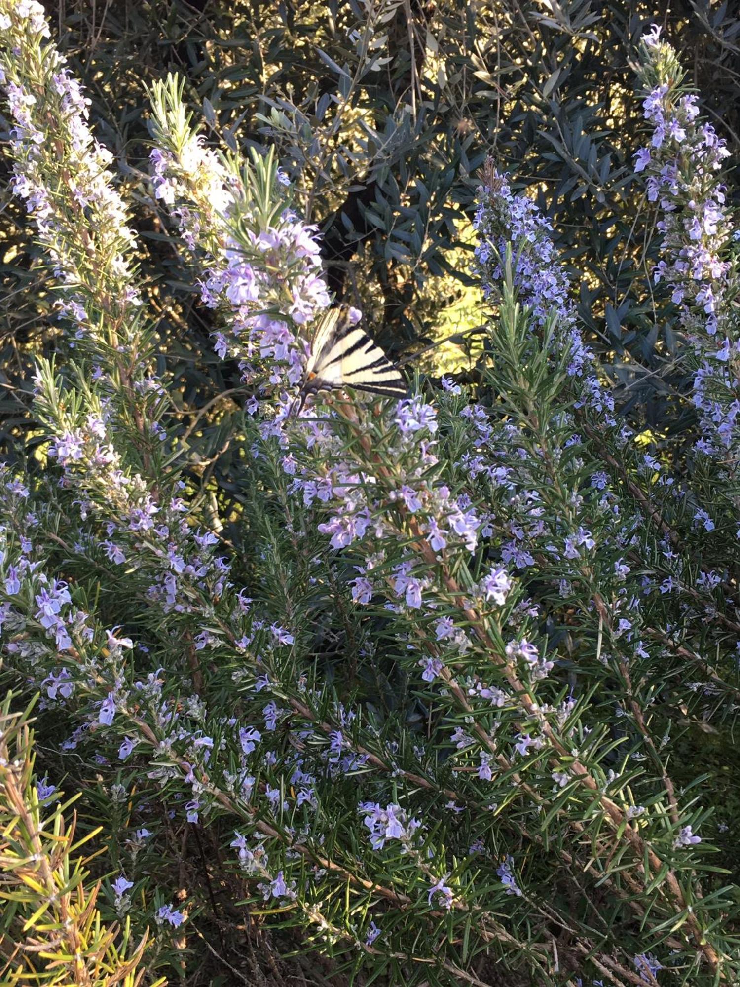 باني دي لوكا Agriturismo Tenuta La Fratta المظهر الخارجي الصورة