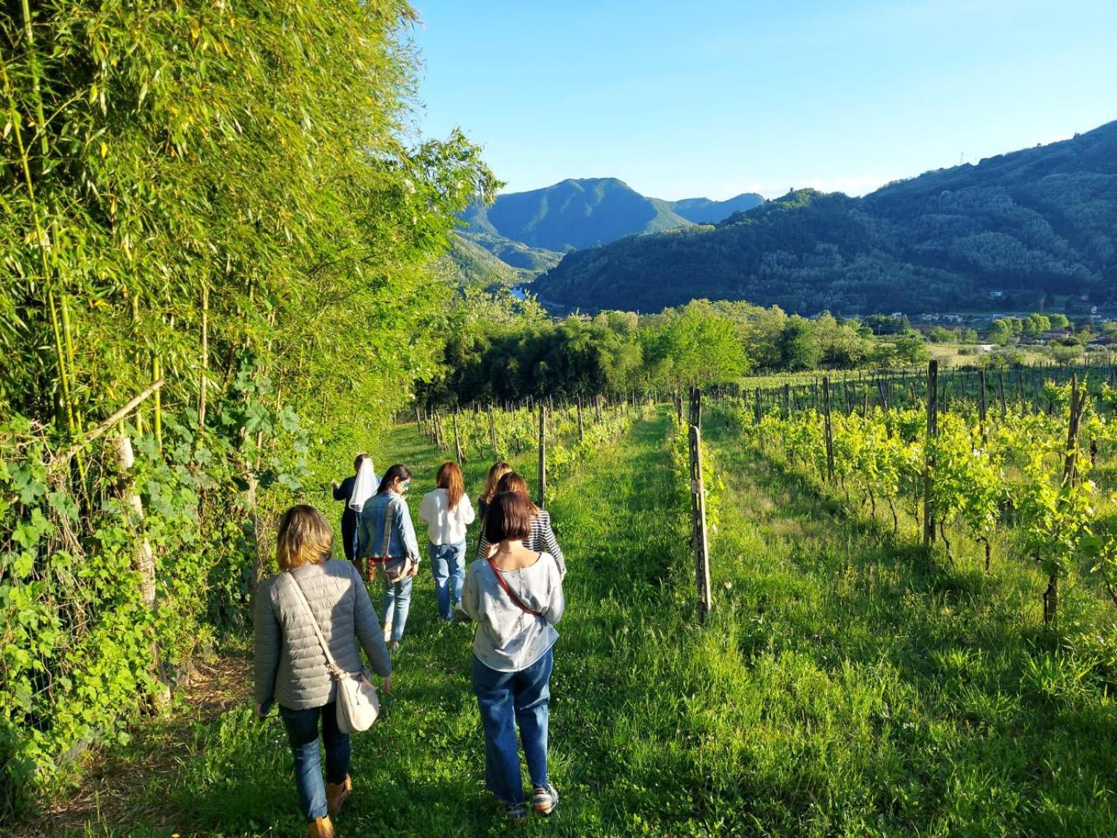 باني دي لوكا Agriturismo Tenuta La Fratta المظهر الخارجي الصورة