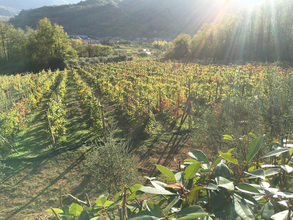 باني دي لوكا Agriturismo Tenuta La Fratta المظهر الخارجي الصورة