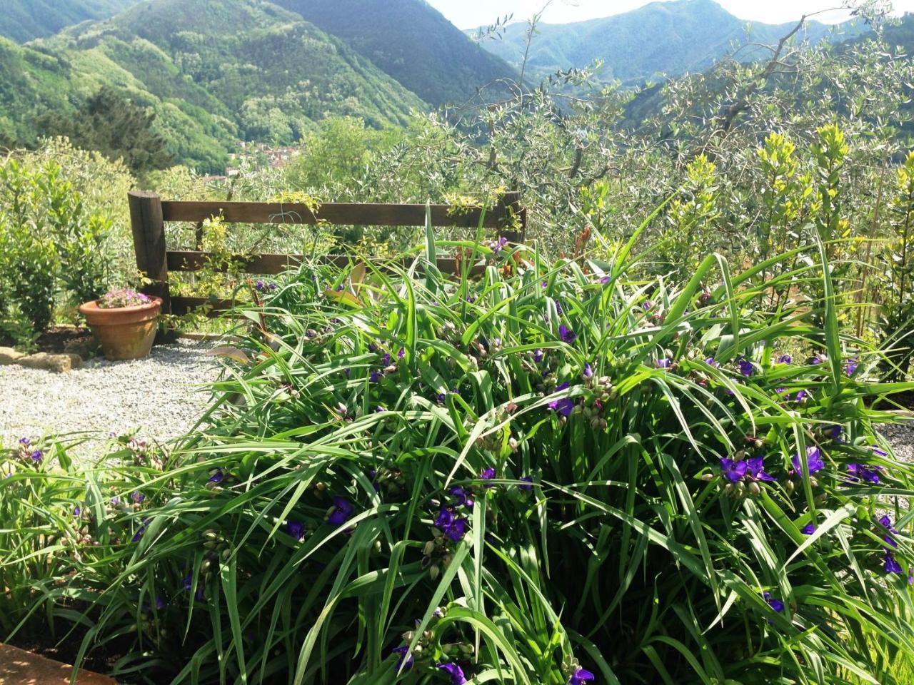 باني دي لوكا Agriturismo Tenuta La Fratta المظهر الخارجي الصورة