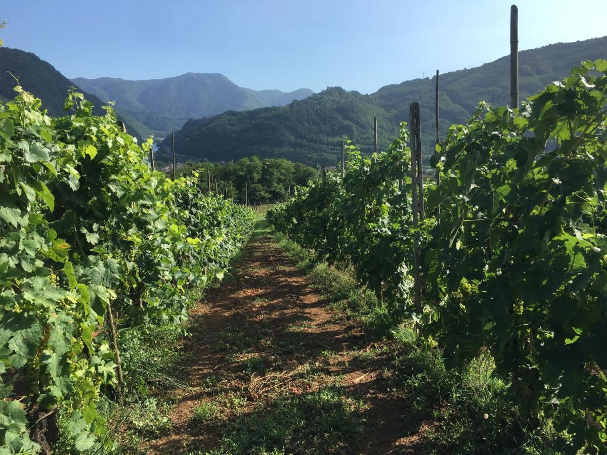 باني دي لوكا Agriturismo Tenuta La Fratta المظهر الخارجي الصورة